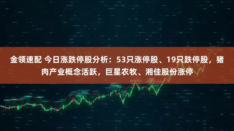 金领速配 今日涨跌停股分析：53只涨停股、19只跌停股，猪肉产业概念活跃，巨星农牧、湘佳股份涨停