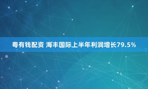 粤有钱配资 海丰国际上半年利润增长79.5%