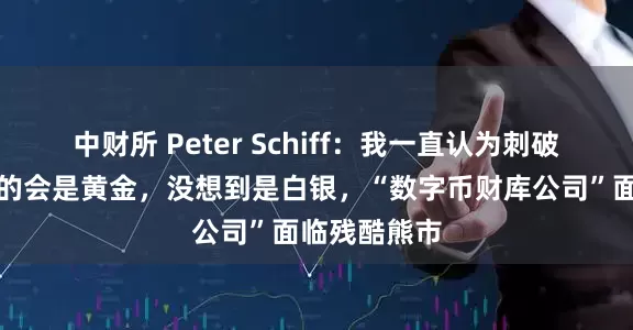 中财所 Peter Schiff：我一直认为刺破比特币泡沫的会是黄金，没想到是白银，“数字币财库公司”面临残酷熊市