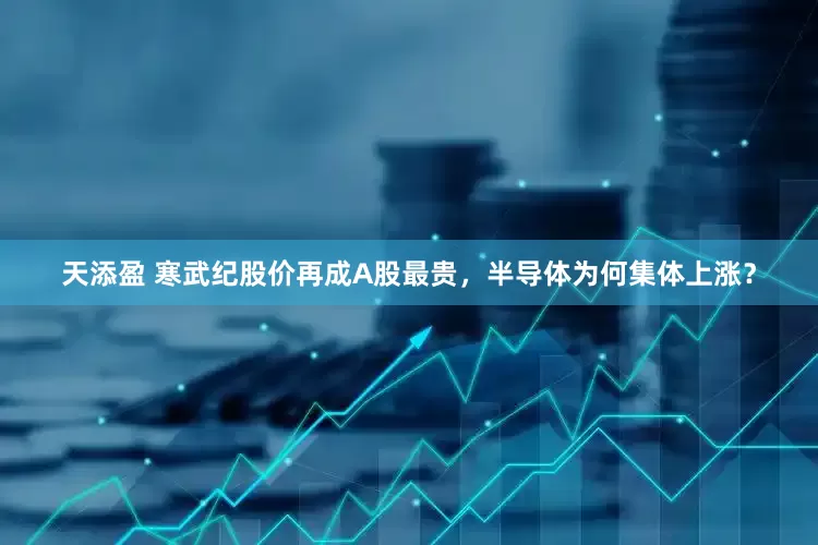 天添盈 寒武纪股价再成A股最贵，半导体为何集体上涨？